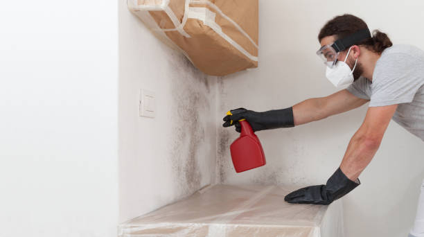 Professional Crawl Space Mold Remediation technician working in Salisbury, NY